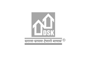 DSK-Developers